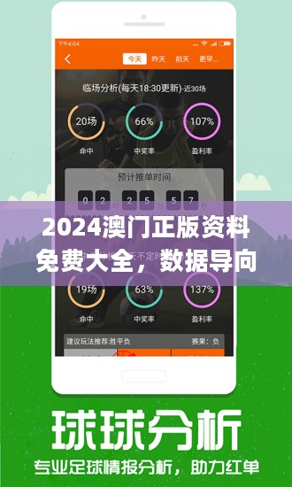 2025新澳门王中王正版,精选解释解析落实