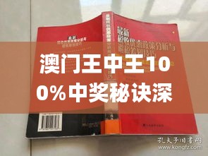 新澳门王中王100%期期中,精选解释解析落实