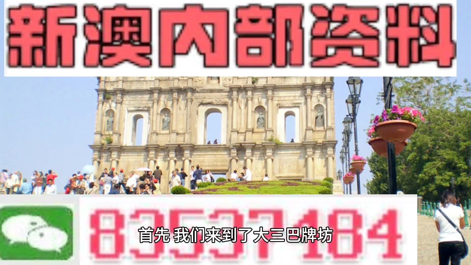 2025新澳新澳门一肖一码资料免费提供,精选解释解析落实