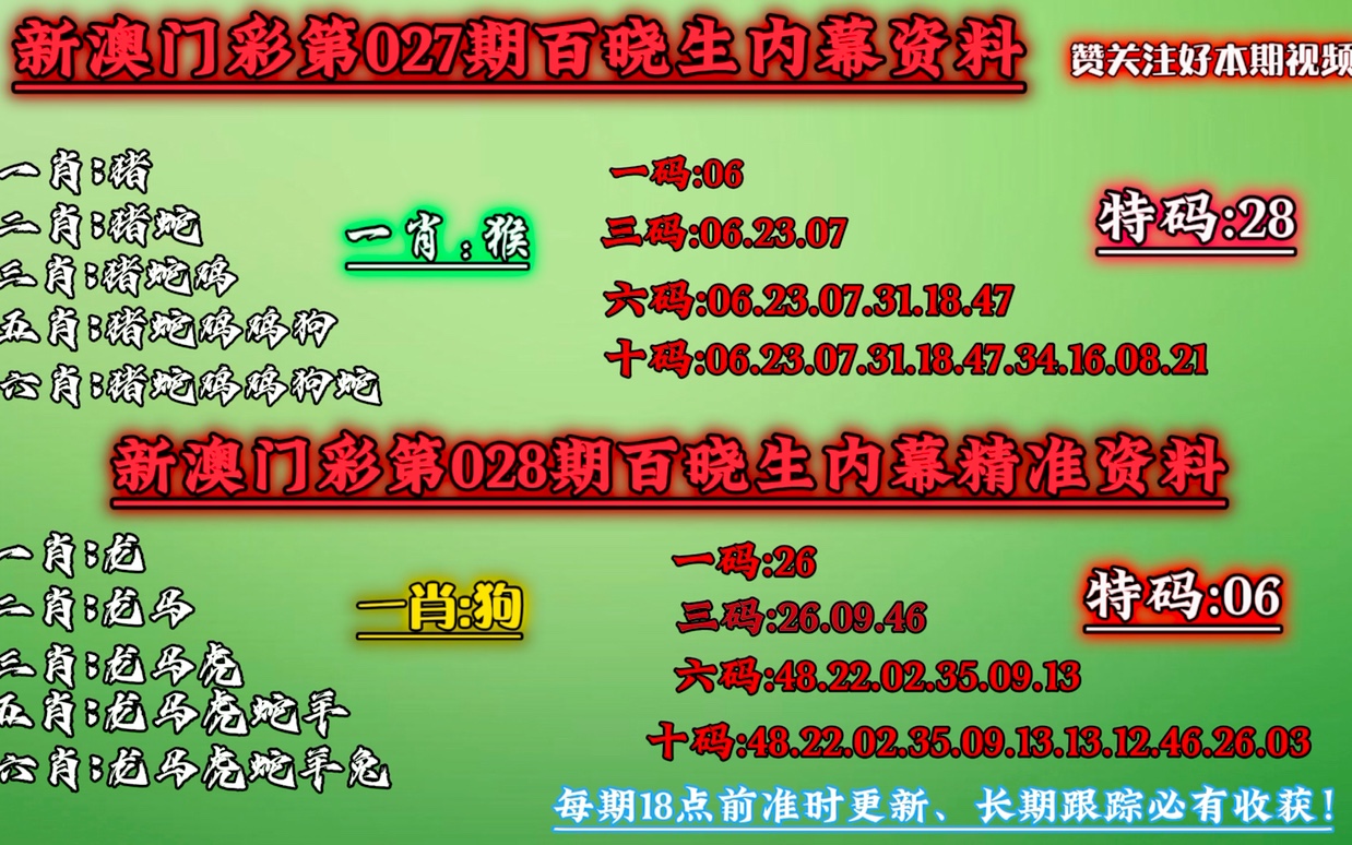 澳门一码中精准一码的投注技巧,精选解释解析落实