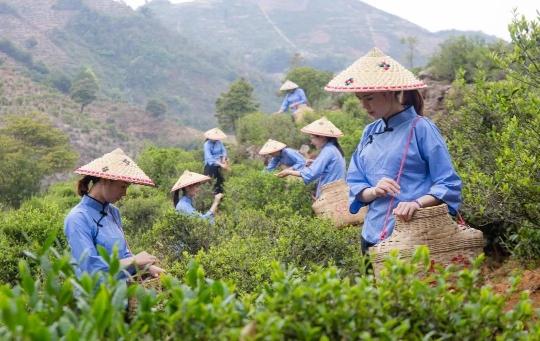 广东省河源东源县，自然美景与文化底蕴的交融之地