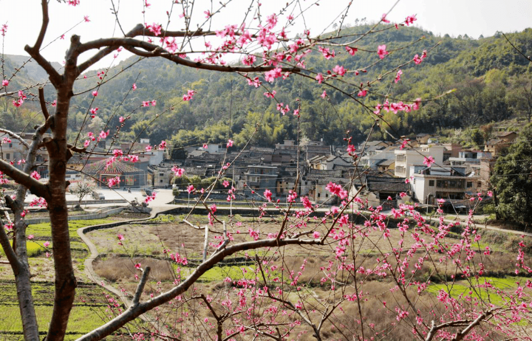 广东省乐昌市秀水镇书记，引领乡村发展的时代先锋