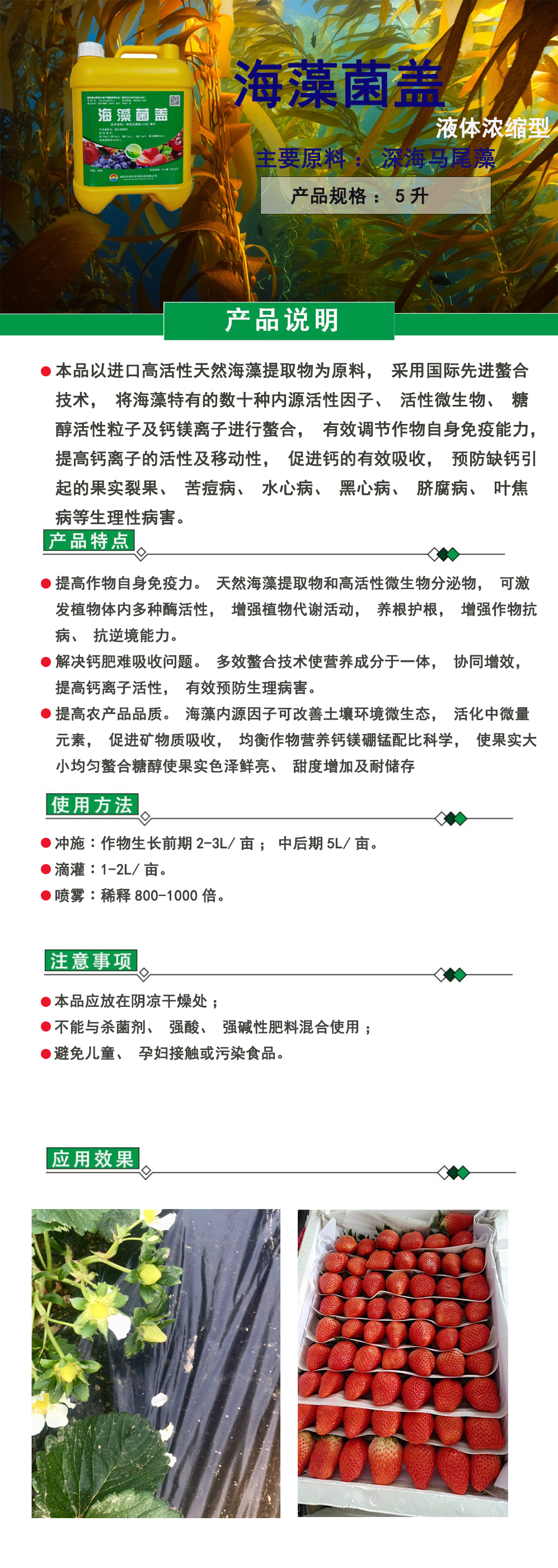 江苏高科技海藻肥价格表及其市场应用分析