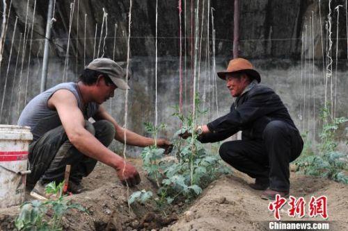 广东无雨农牧有限公司，探索与发现农牧业的新纪元