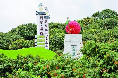 广东省茂名魏屋，历史底蕴与现代魅力的交织之地