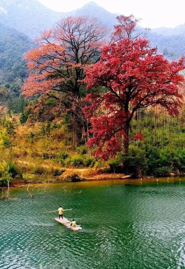 广东省秋季旅游，美景与文化的丰富交融