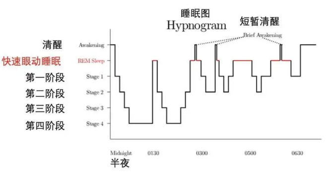 如何在两个月内实现睡整觉——改善睡眠质量的方法与体验分享